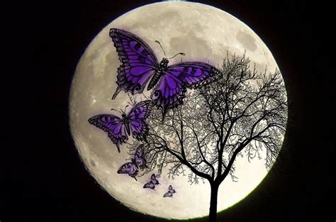 Butterfly Moon PokerStars